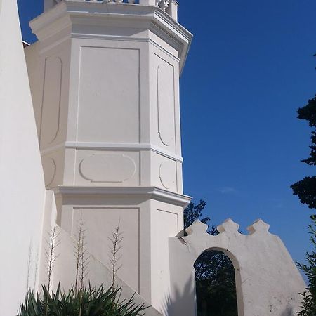 Villa-Chateau Les Terrasses, Tamaris, Vues Mer Exceptionnelles Au Calme, Mer Et Plage A 2Mn A Pied La Seyne-sur-Mer Exterior foto