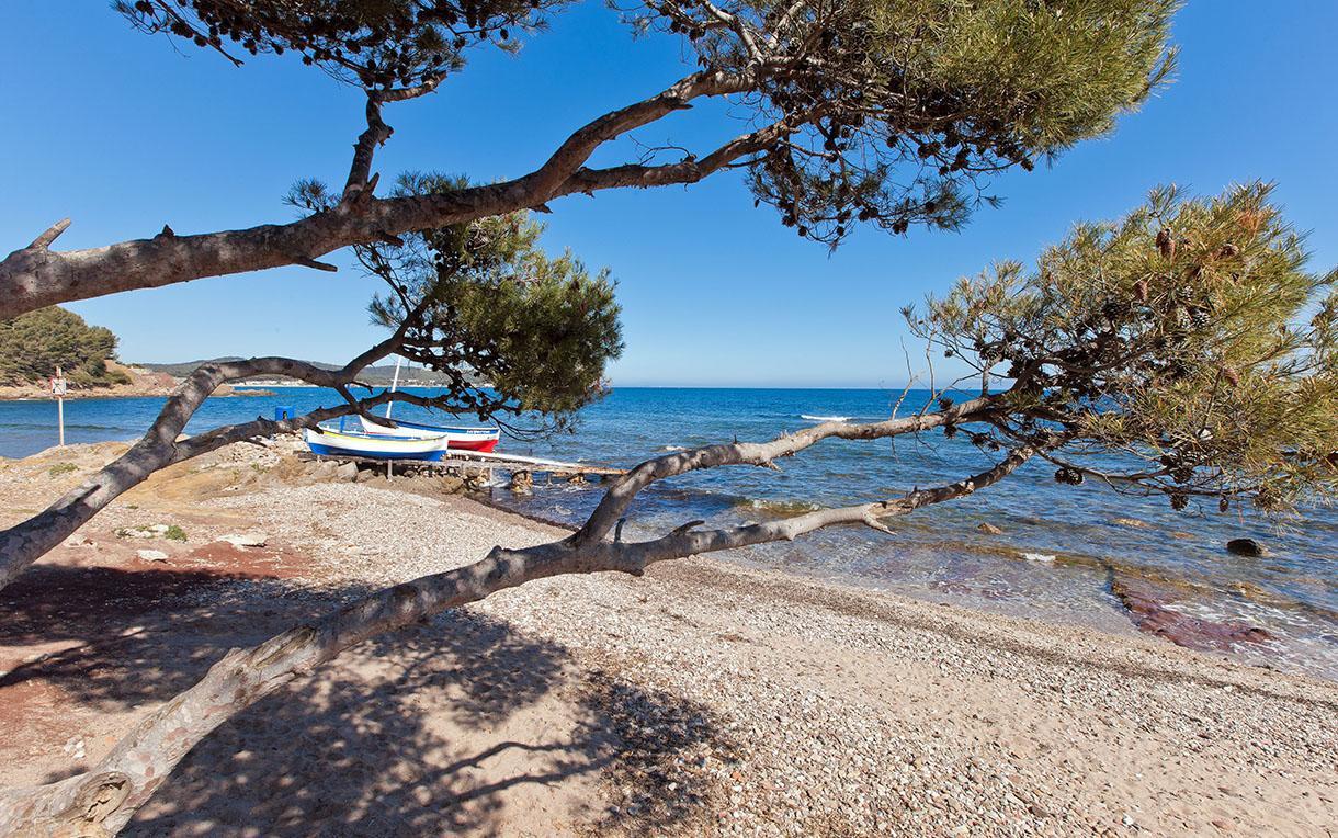 Villa-Chateau Les Terrasses, Tamaris, Vues Mer Exceptionnelles Au Calme, Mer Et Plage A 2Mn A Pied La Seyne-sur-Mer Exterior foto